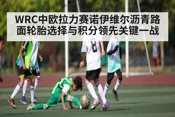 WRC中欧拉力赛诺伊维尔沥青路面轮胎选择与积分领先关键一战 | kaiyun